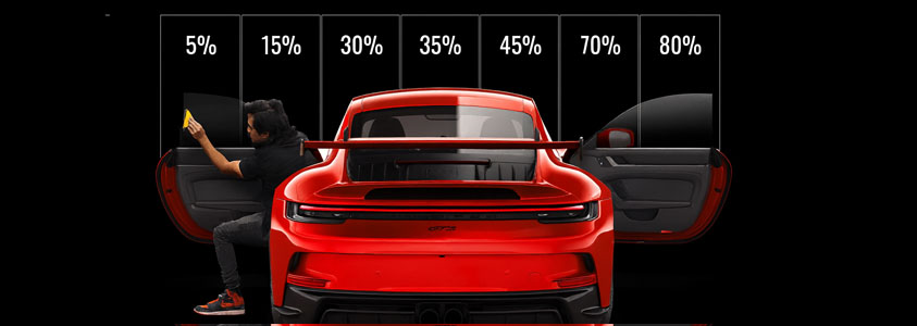 Film de fenêtre-animal