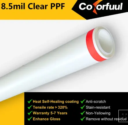 Protection anti-clipping de peinture transparente